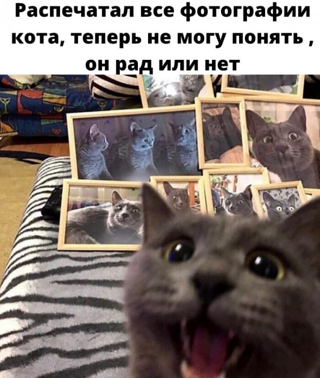 Свежий юмор Юмор