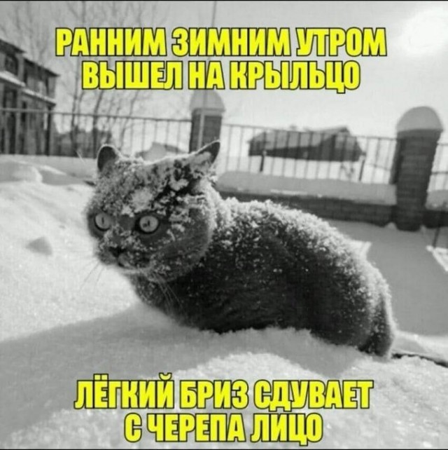 Отличный юмор на начало недели Отличный юмор на начало недели Юмор