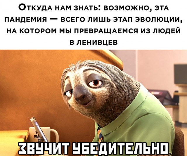 Отличный юмор на начало недели Отличный юмор на начало недели Юмор