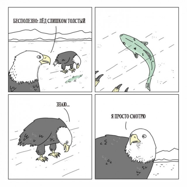Отличный юмор на начало недели Отличный юмор на начало недели Юмор