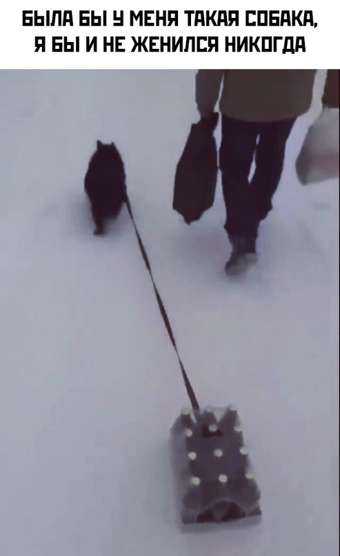Отличный юмор на начало недели Отличный юмор на начало недели Юмор