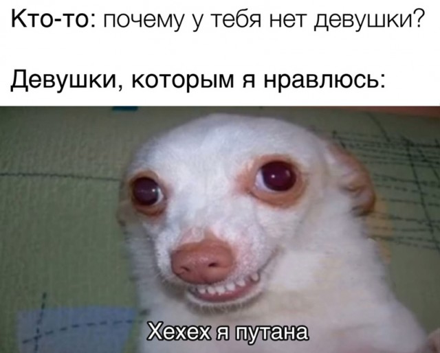 Отличный юмор на начало недели Отличный юмор на начало недели Юмор