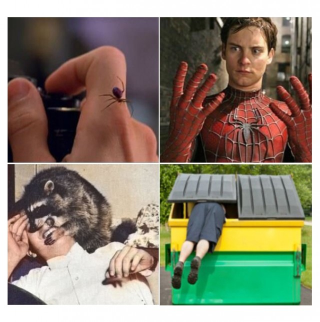 Отличный юмор на начало недели Отличный юмор на начало недели Юмор