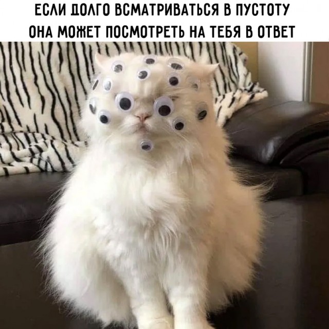 Лучший юмор для поднятия настроения Юмор