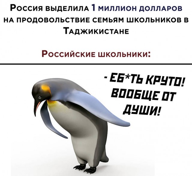 Лучший юмор для поднятия настроения Юмор