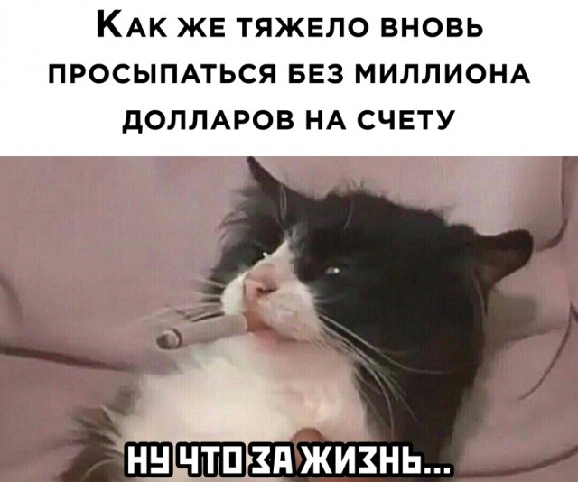 Лучший юмор для поднятия настроения Юмор