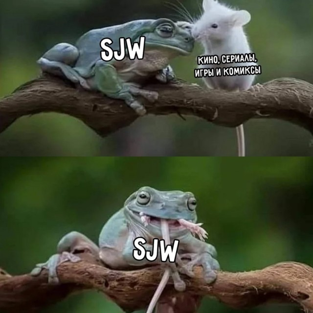 Лучший юмор для поднятия настроения Юмор