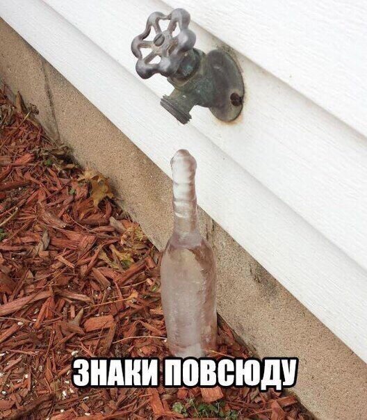 Лучший юмор для поднятия настроения Юмор