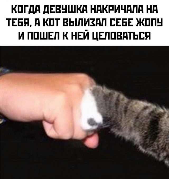 Лучший юмор для поднятия настроения Юмор