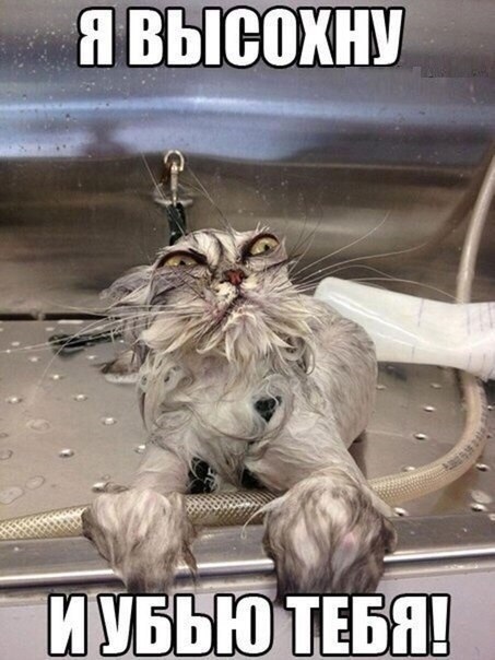 Лучший юмор для поднятия настроения Юмор