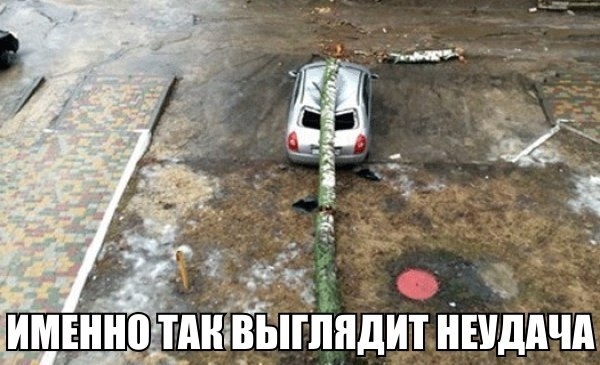 Лучший юмор для поднятия настроения Юмор