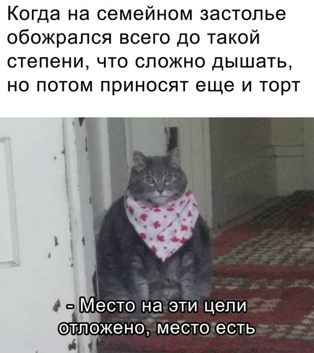 Подборка свежих приколов Подборка свежих приколов Юмор