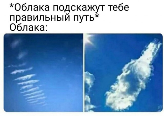 Подборка свежих приколов Подборка свежих приколов Юмор
