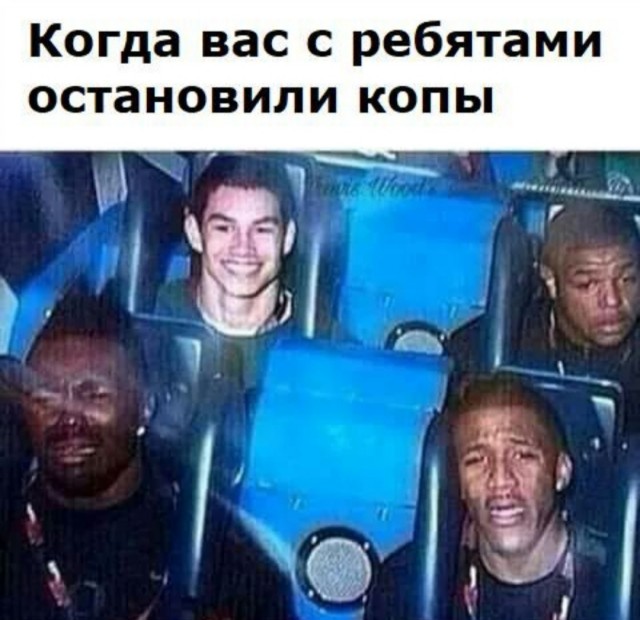 Подборка свежих приколов Подборка свежих приколов Юмор