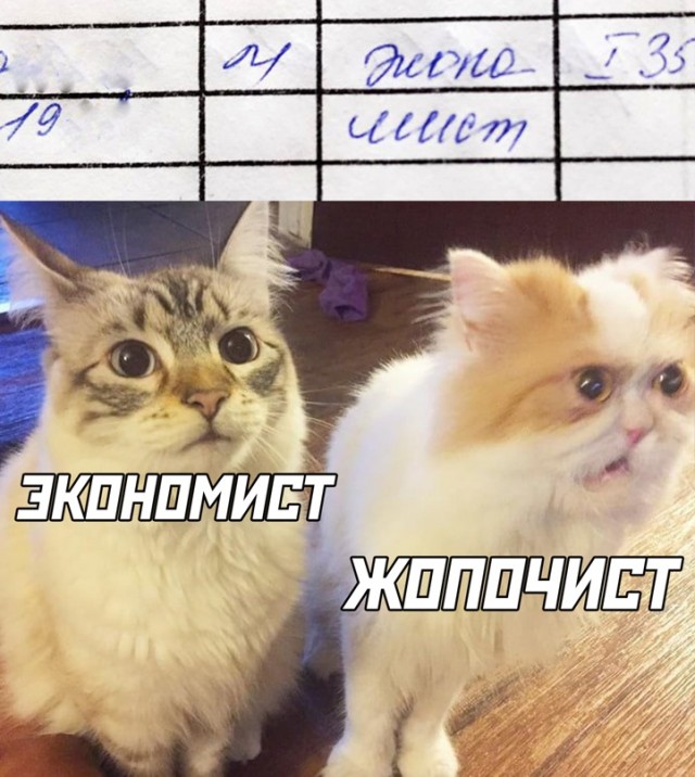 Подборка свежих приколов Подборка свежих приколов Юмор