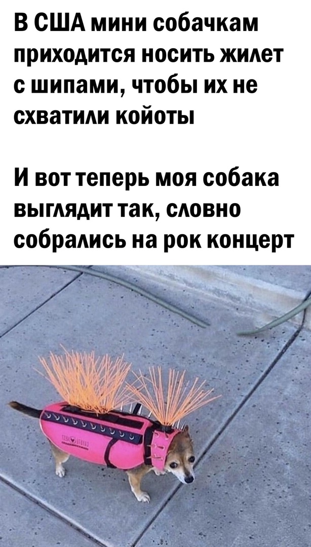 Юмор и позитив и в картинках Юмор