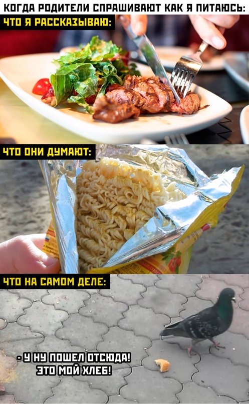 Свежий юмор из интернета Юмор