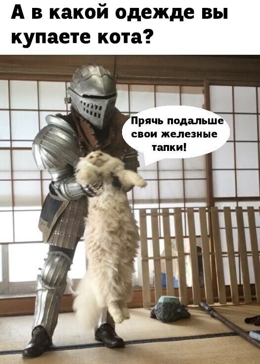Юмор в картинках который достоин вашего внимания Юмор в картинках который достоин вашего внимания Юмор