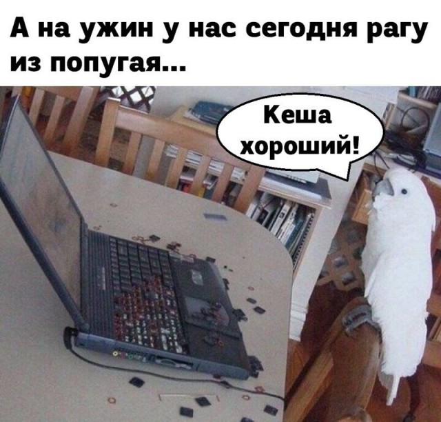 Юмор в картинках который достоин вашего внимания Юмор в картинках который достоин вашего внимания Юмор