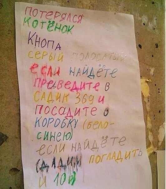 Юмор в картинках который достоин вашего внимания Юмор в картинках который достоин вашего внимания Юмор