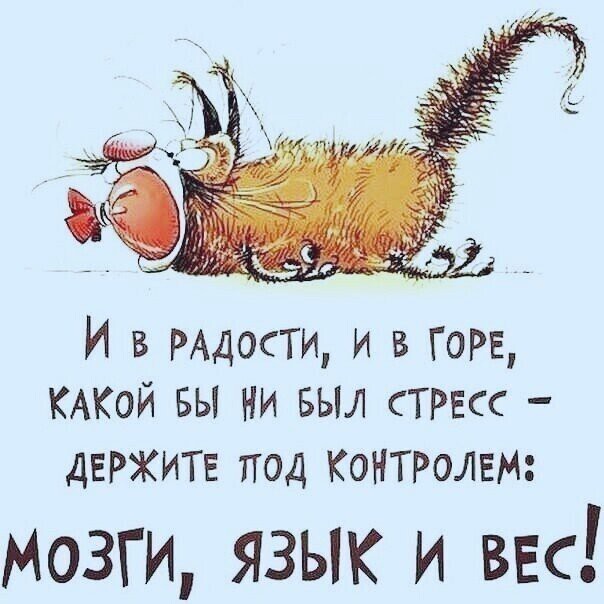 Юмор в картинках который достоин вашего внимания Юмор в картинках который достоин вашего внимания Юмор
