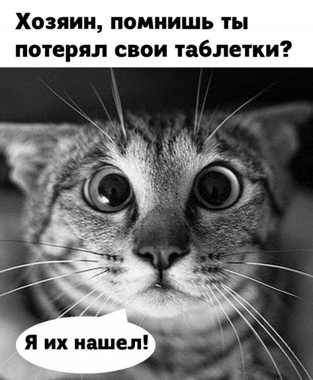Юмор в картинках который достоин вашего внимания Юмор в картинках который достоин вашего внимания Юмор