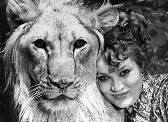 Трагическая история Берберовых, советской семьи, которая держала львов в качестве домашних животных С миру по нитке