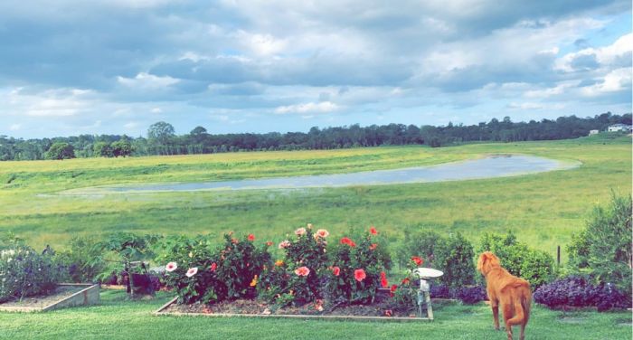 Позитивные фотографии для настроения Картинки