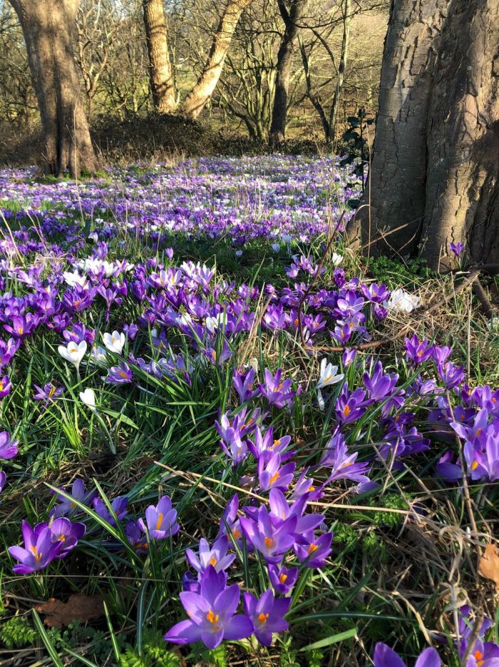Позитивные фотографии для настроения Картинки