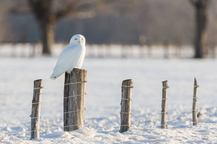Позитивные фотографии для настроения Картинки