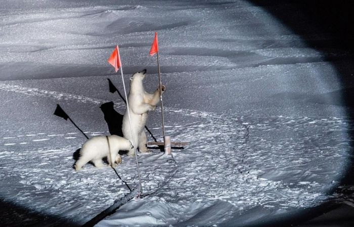 Позитивные фотографии для настроения Картинки