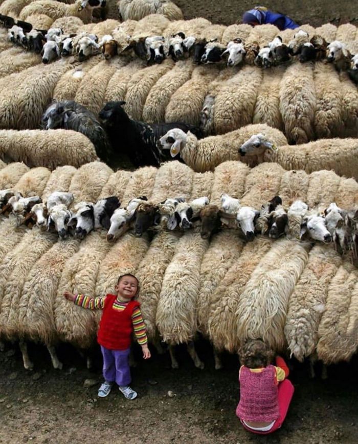 Позитивные фотографии для настроения Картинки