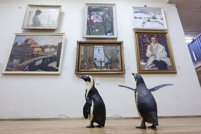 Позитивные фотографии для настроения Картинки