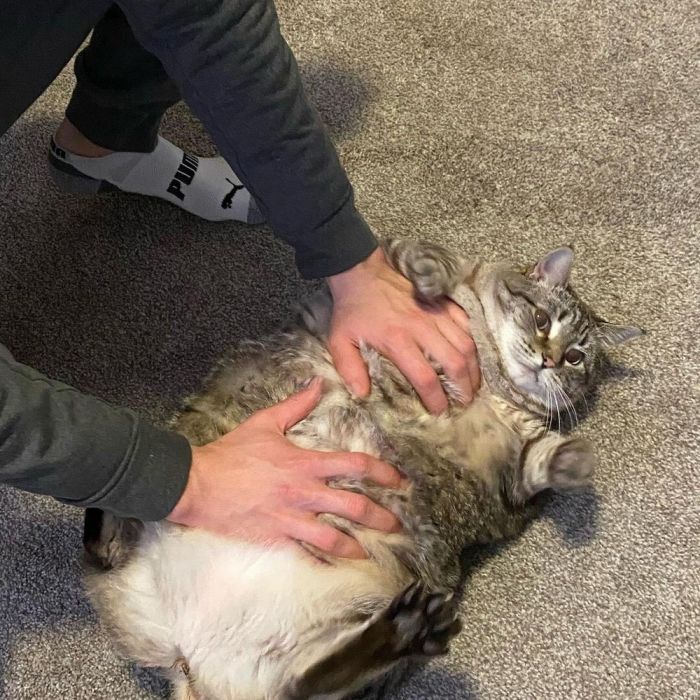 Позитивные фотографии для настроения Картинки