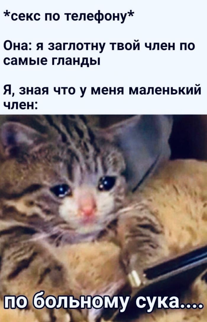 Пошлые и смешные картинки Юмор