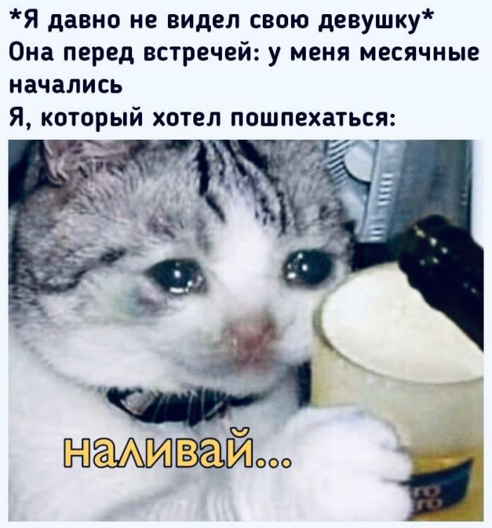 Пошлые и смешные картинки Юмор