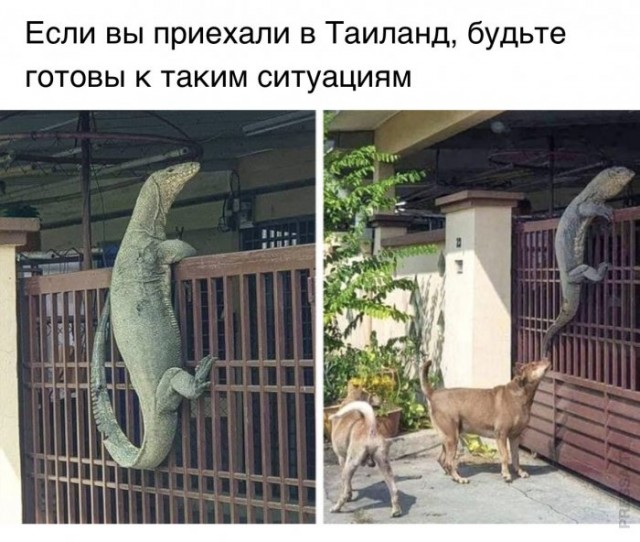 С понедельником — отличный юмор на начало недели С понедельником — отличный юмор на начало недели Юмор