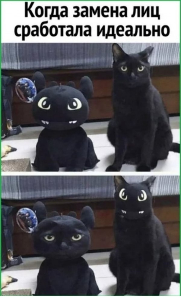 С понедельником — отличный юмор на начало недели С понедельником — отличный юмор на начало недели Юмор