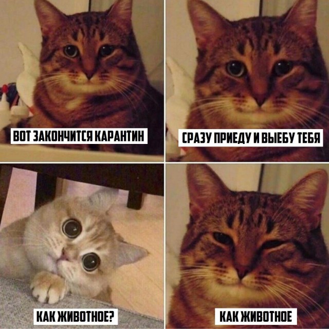 С понедельником — отличный юмор на начало недели С понедельником — отличный юмор на начало недели Юмор