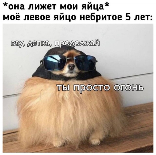 С понедельником — отличный юмор на начало недели С понедельником — отличный юмор на начало недели Юмор