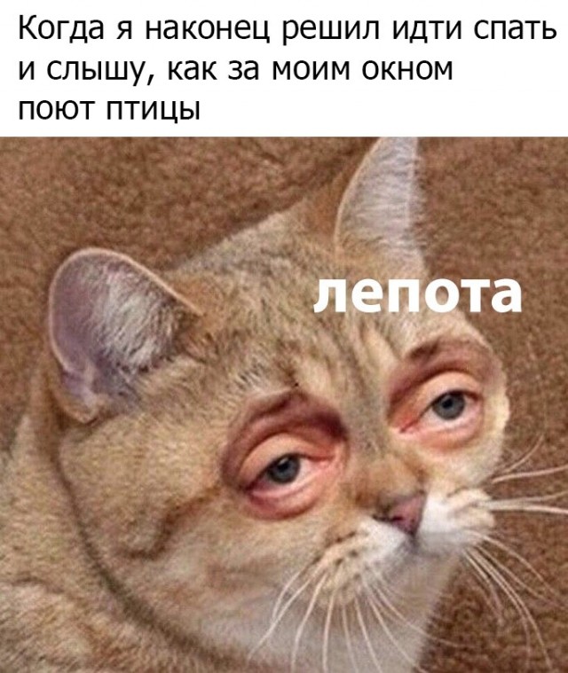 Немного юмора для отличного настроения Юмор