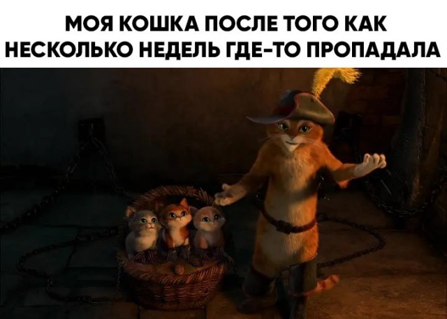 Немного юмора для отличного настроения Юмор