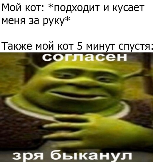 Немного юмора для отличного настроения Юмор