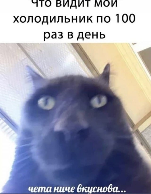 Немного юмора для отличного настроения Юмор