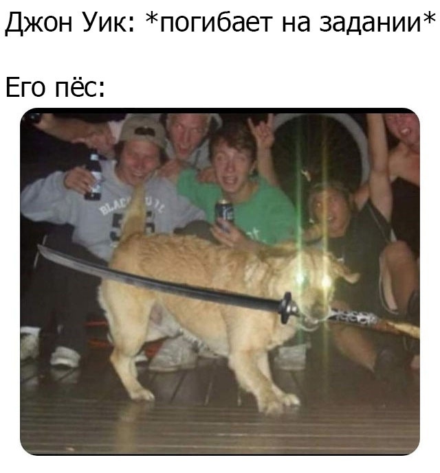 Немного юмора для отличного настроения Юмор