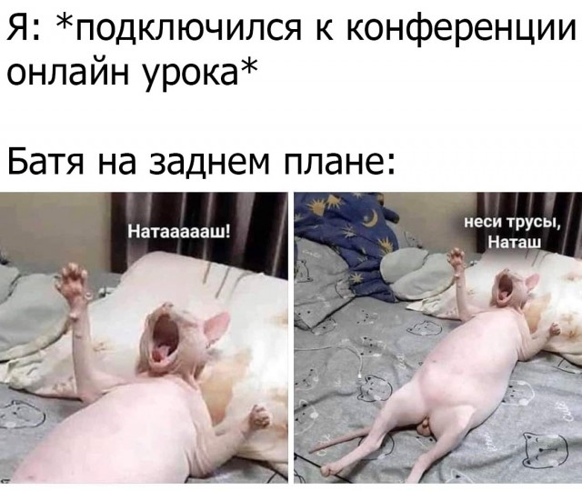 Немного юмора для отличного настроения Юмор