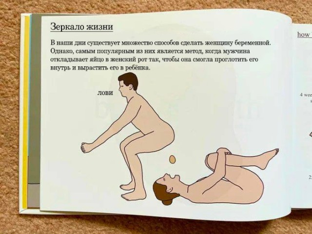 Яркий юмор для души Яркий юмор для души Юмор