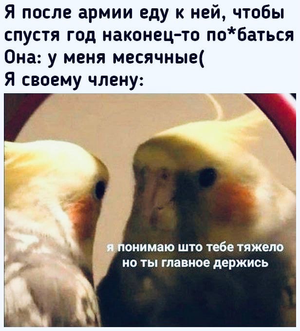 Развратный юмор Развратный юмор Юмор