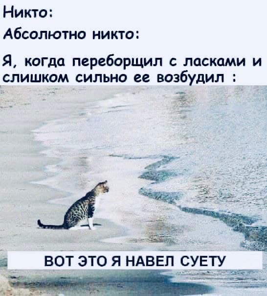 Развратный юмор Развратный юмор Юмор