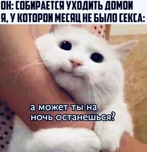 Развратный юмор Развратный юмор Юмор